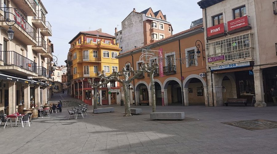 Ruta Guiada por el Casco Histórico de Aranda de Duero