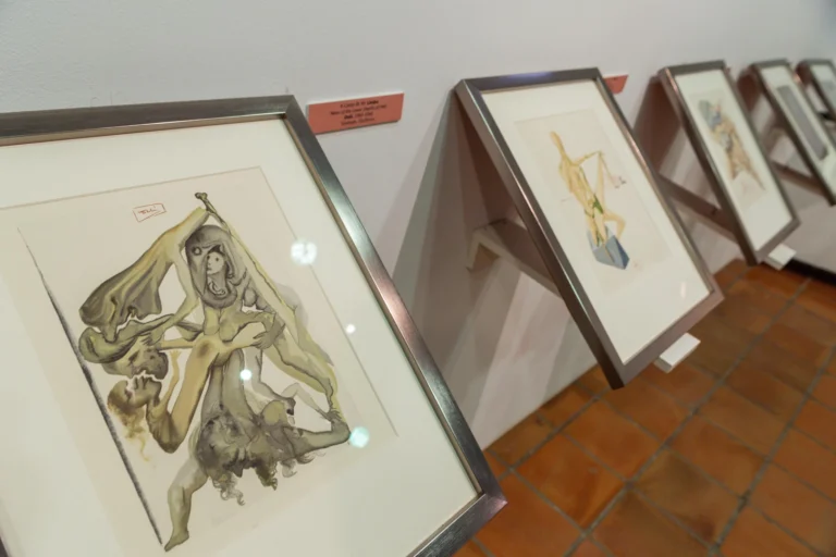 MUSEO DE PINTURA-CASA DE LAS BOLAS