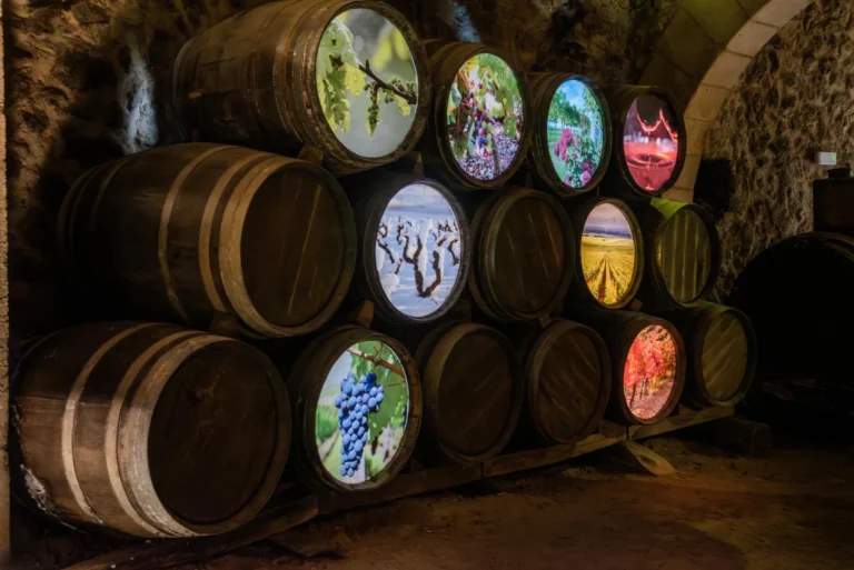 VISITA BODEGA DE LAS ÁNIMAS